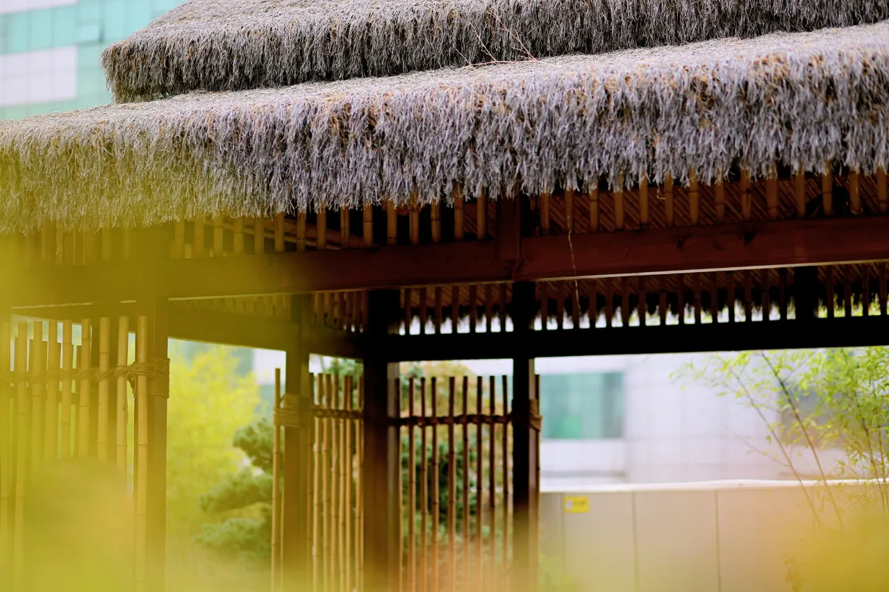 Jian Shan Tang Chengdu China (102)