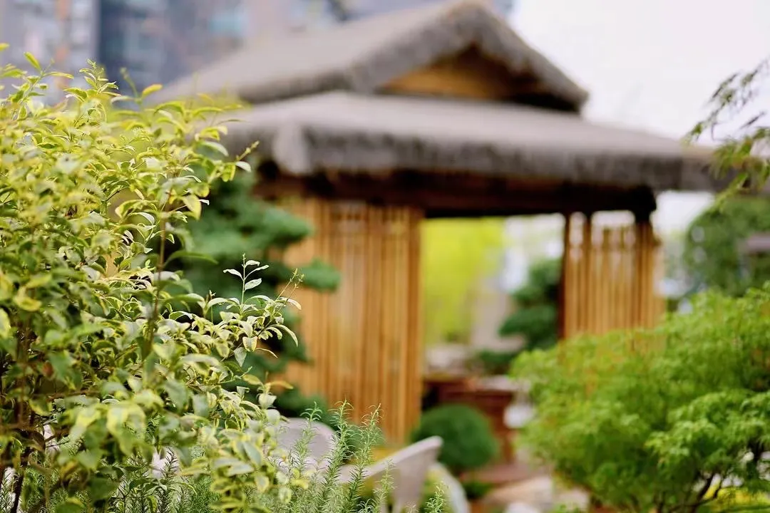 Jian Shan Tang Chengdu China (15)